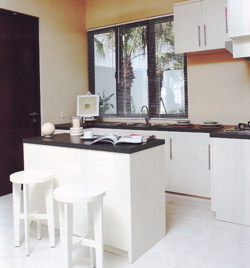 Simple Black and White Kitchen Combination